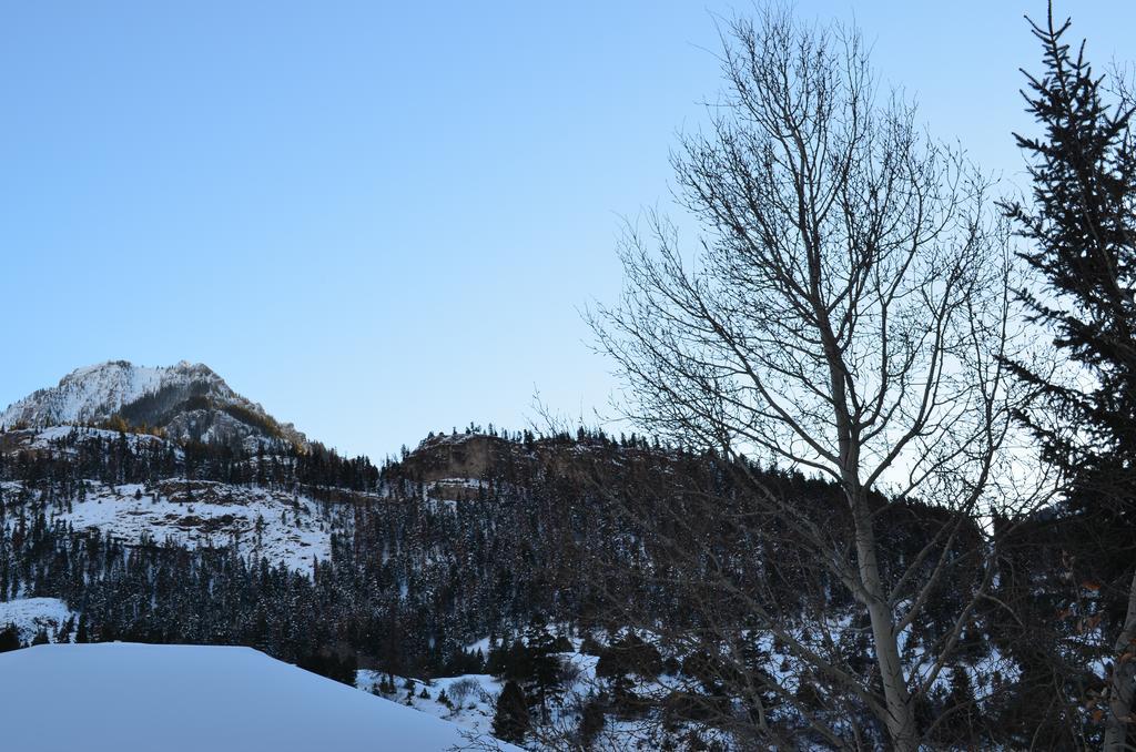 The Ouray Main Street Inn 客房 照片